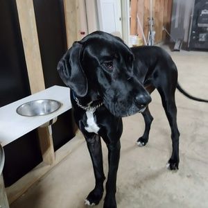 Meet your Posher, Kristi